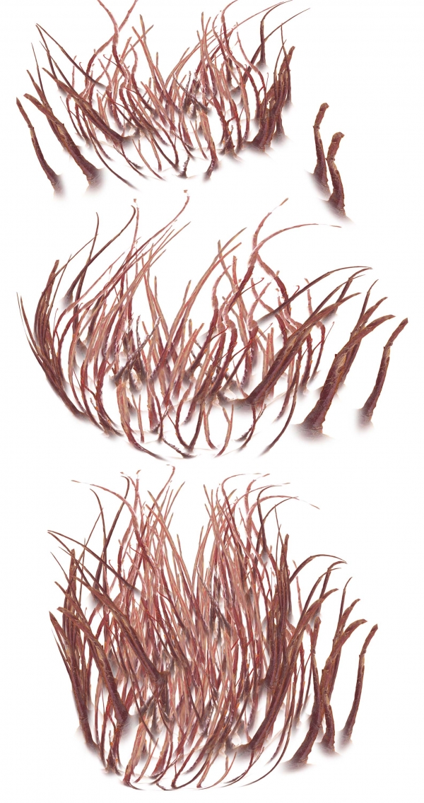 Creation of Rusty Lagoon: Step 6